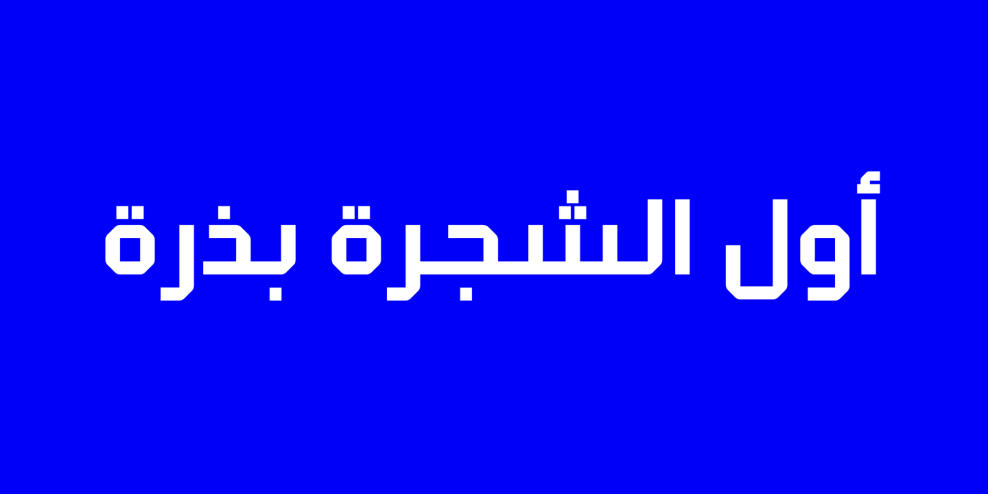 Пример шрифта Klapt Arabic Regular